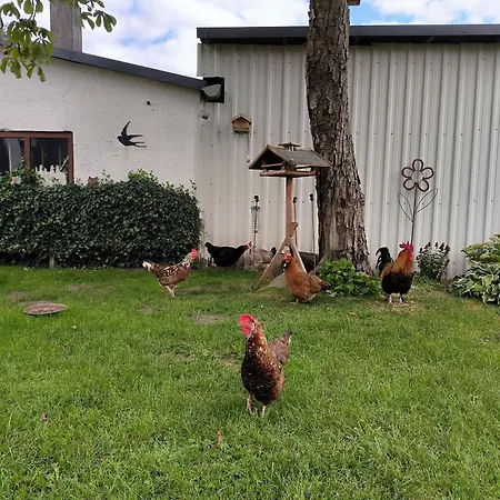 Apartmán Storchenblick In - Ebenerdige In Ruhiger Umgebung