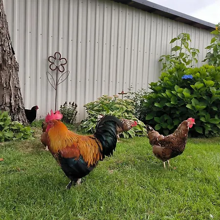 Storchenblick In - Ebenerdige In Ruhiger Umgebung Sieverstedt