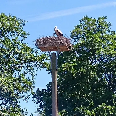 Storchenblick In - Ebenerdige In Ruhiger Umgebung